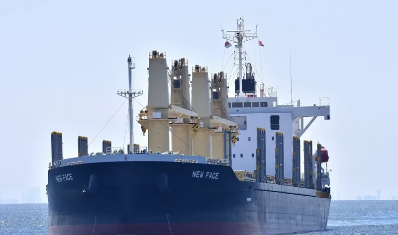 NEW FACE Bulk Carrier IMO 9780316 photo 7