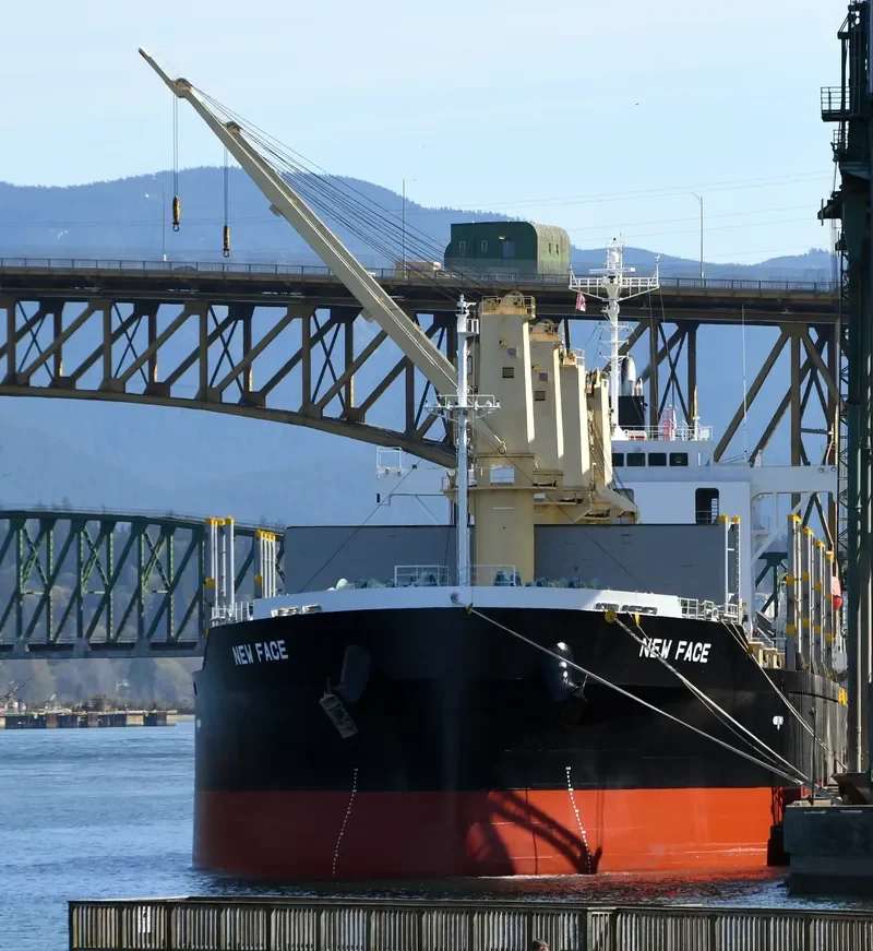 NEW FACE Bulk Carrier IMO 9780316 photo 8