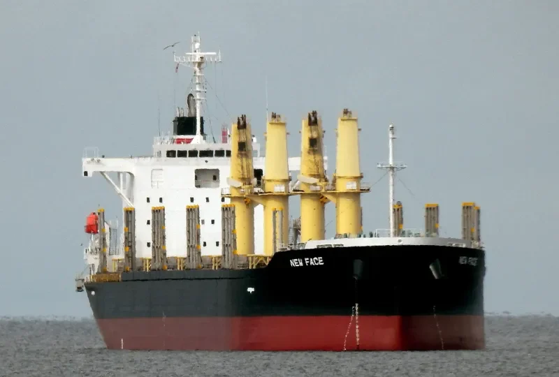 NEW FACE Bulk Carrier IMO 9780316 photo 9
