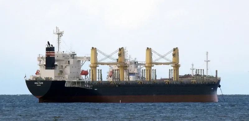 NEW FACE Bulk Carrier IMO 9780316 photo 10