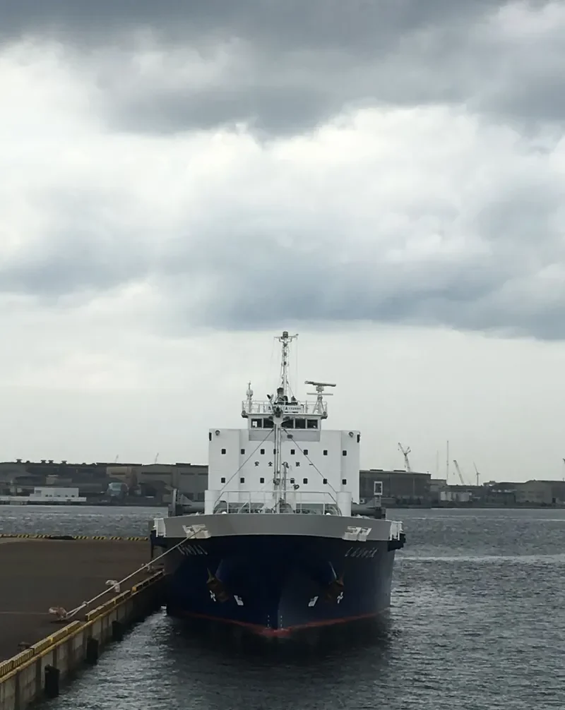 SHINRYU MARU General Cargo IMO 9781229 photo 2