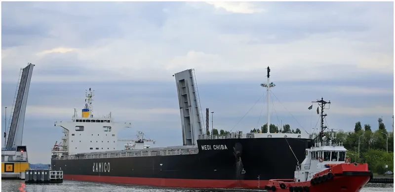 MEDI CHIBA Bulk Carrier IMO 9781970 photo 2