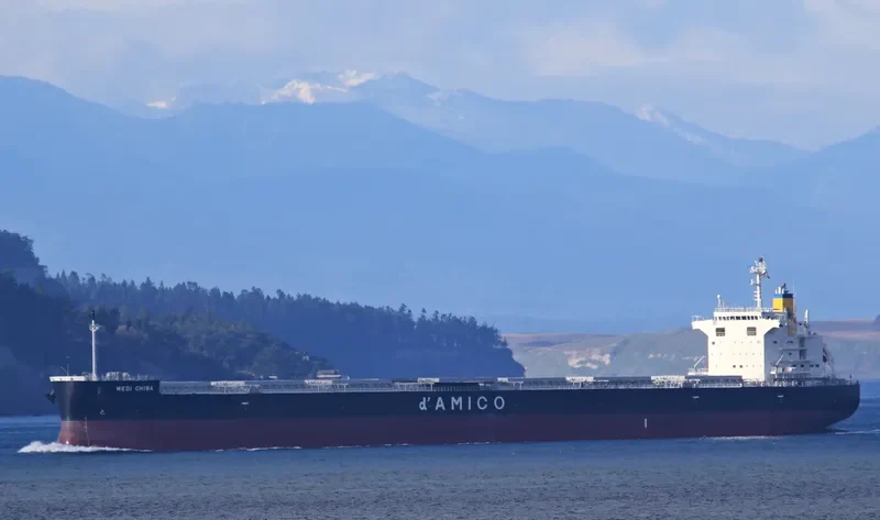 MEDI CHIBA Bulk Carrier IMO 9781970 photo 4