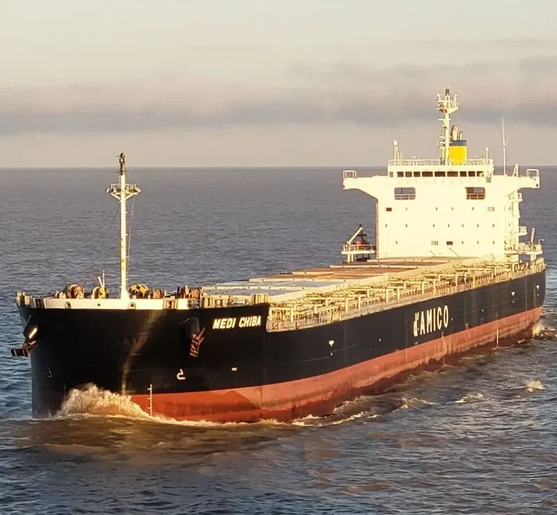 MEDI CHIBA Bulk Carrier IMO 9781970 photo 8