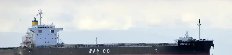 MEDI CHIBA Bulk Carrier IMO 9781970 photo 10