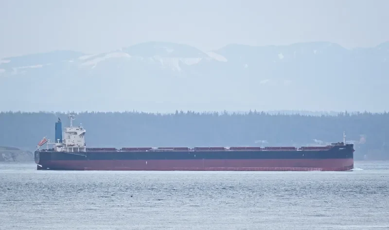 JIMMY T Bulk Carrier IMO 9782118 photo 2