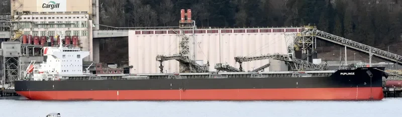 PUPLINGE Bulk Carrier IMO 9782156