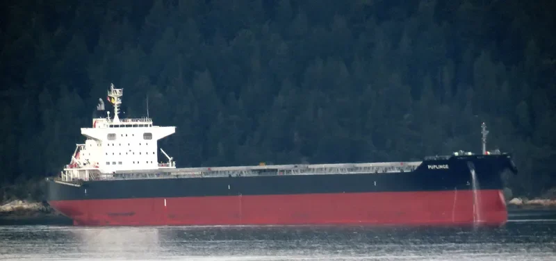 PUPLINGE Bulk Carrier IMO 9782156 photo 2