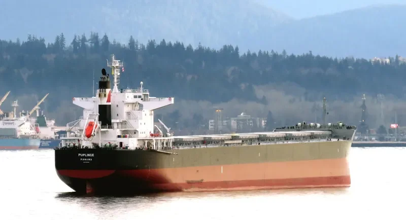 PUPLINGE Bulk Carrier IMO 9782156 photo 3