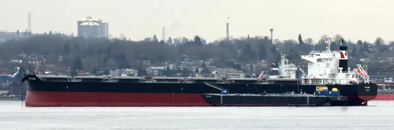 PUPLINGE Bulk Carrier IMO 9782156 photo 4