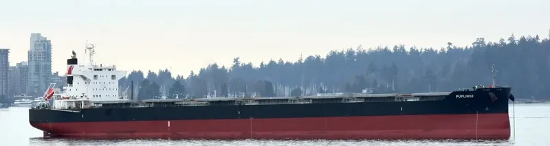 PUPLINGE Bulk Carrier IMO 9782156 photo 5