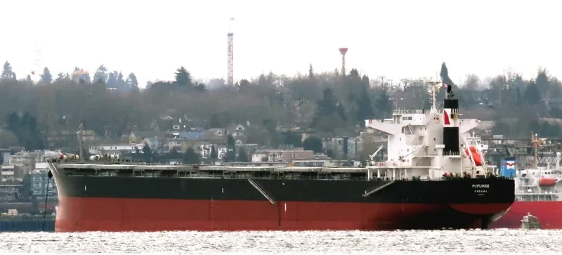 PUPLINGE Bulk Carrier IMO 9782156 photo 6