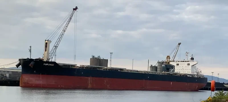 PUPLINGE Bulk Carrier IMO 9782156 photo 8