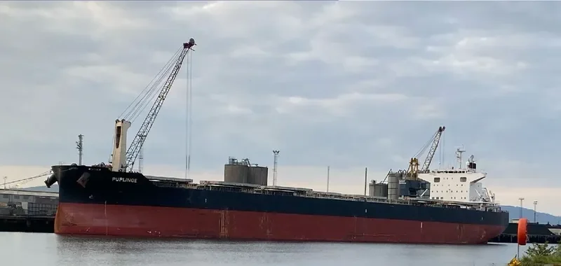 PUPLINGE Bulk Carrier IMO 9782156 photo 9