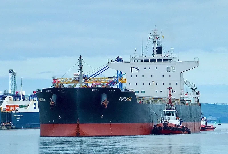 PUPLINGE Bulk Carrier IMO 9782156 photo 10