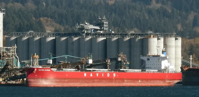 NAVIOS CITRINE Bulk Carrier IMO 9782170 photo 10