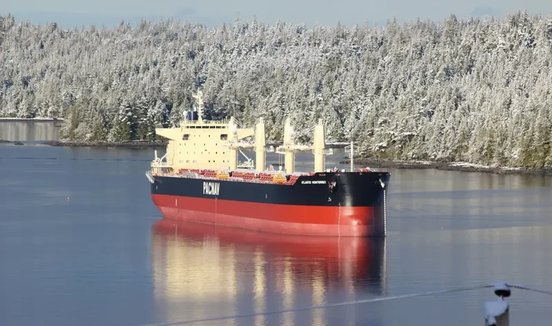 ATLANTIC MONTERREY Bulk Carrier IMO 9782326 photo 3