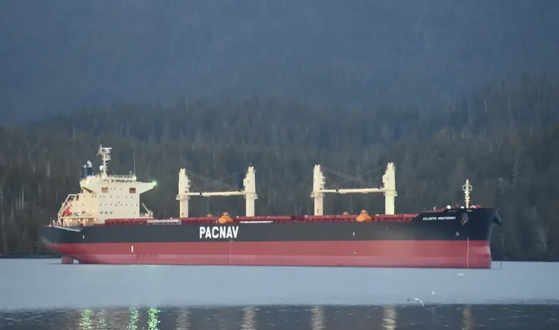 ATLANTIC MONTERREY Bulk Carrier IMO 9782326 photo 4