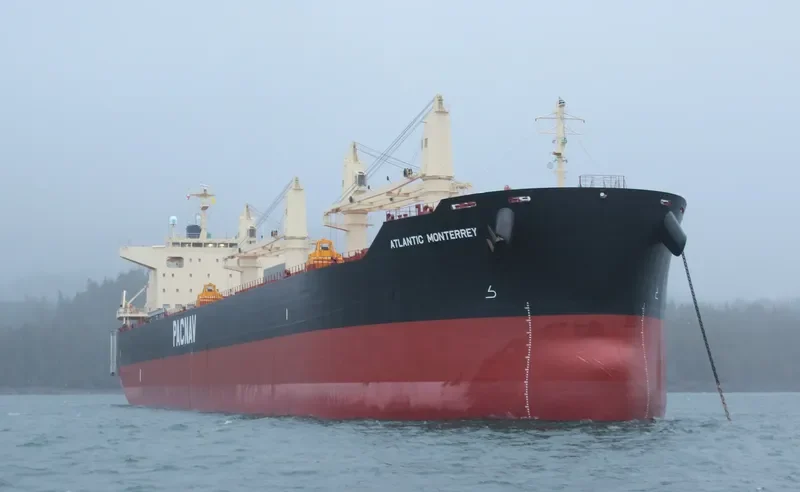 ATLANTIC MONTERREY Bulk Carrier IMO 9782326 photo 5