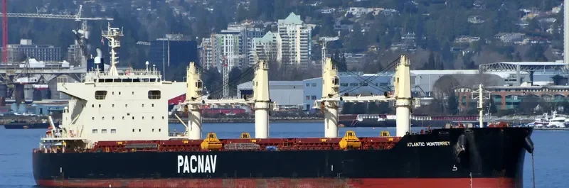 ATLANTIC MONTERREY Bulk Carrier IMO 9782326 photo 7