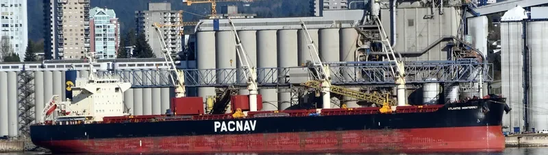 ATLANTIC MONTERREY Bulk Carrier IMO 9782326 photo 8