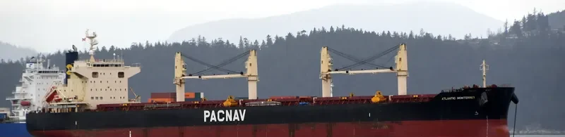 ATLANTIC MONTERREY Bulk Carrier IMO 9782326 photo 10