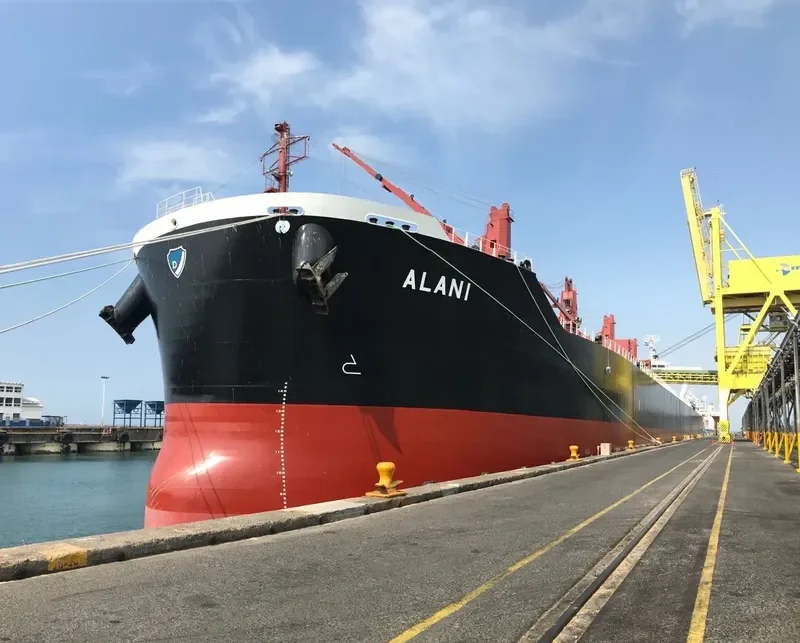 ALANI Bulk Carrier IMO 9782352 photo 2