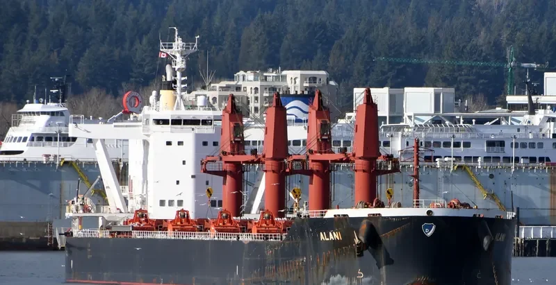 ALANI Bulk Carrier IMO 9782352 photo 3