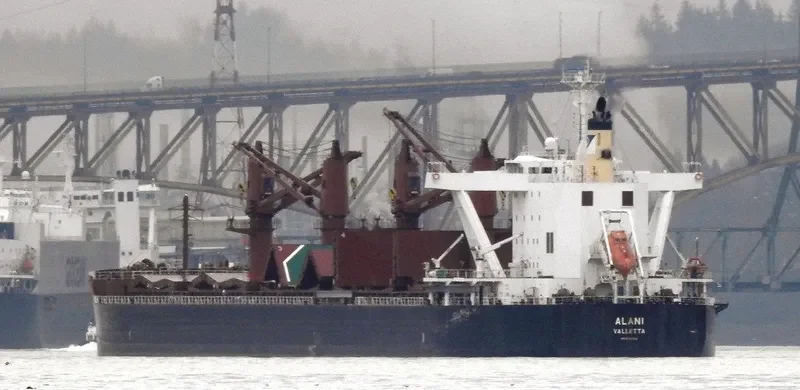 ALANI Bulk Carrier IMO 9782352 photo 4