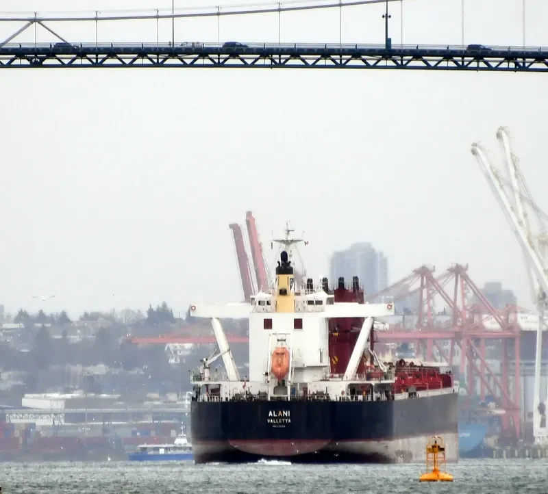 ALANI Bulk Carrier IMO 9782352 photo 6