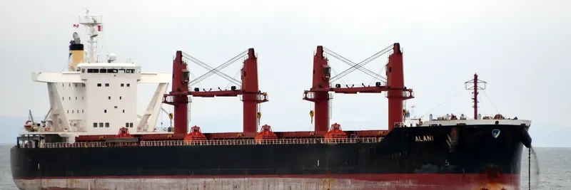 ALANI Bulk Carrier IMO 9782352 photo 7