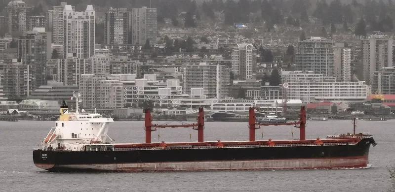 ALANI Bulk Carrier IMO 9782352 photo 8