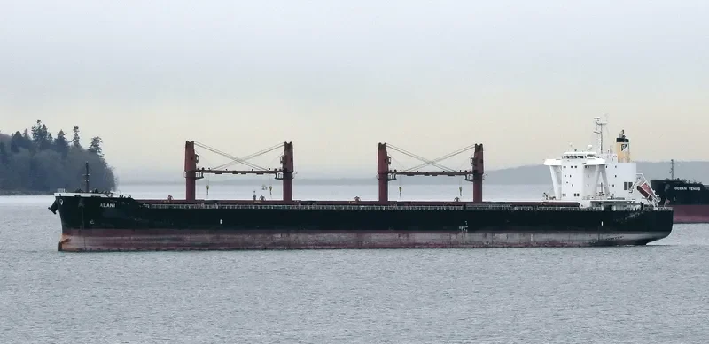 ALANI Bulk Carrier IMO 9782352 photo 9