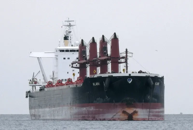 ALANI Bulk Carrier IMO 9782352 photo 10