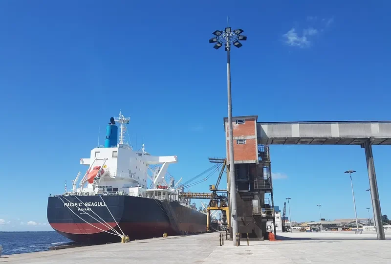 PACIFIC SEAGULL Bulk Carrier IMO 9782364