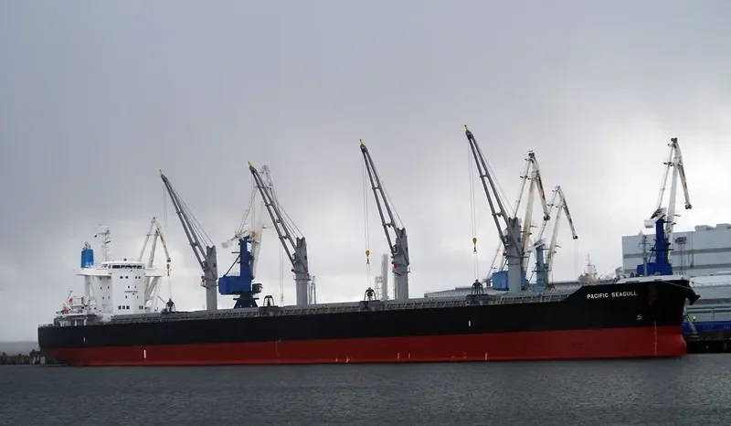 PACIFIC SEAGULL Bulk Carrier IMO 9782364 photo 2