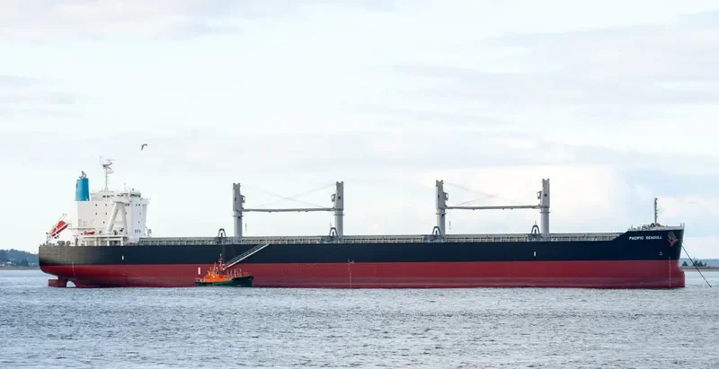 PACIFIC SEAGULL Bulk Carrier IMO 9782364 photo 3