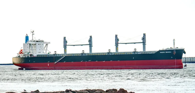 PACIFIC SEAGULL Bulk Carrier IMO 9782364 photo 4