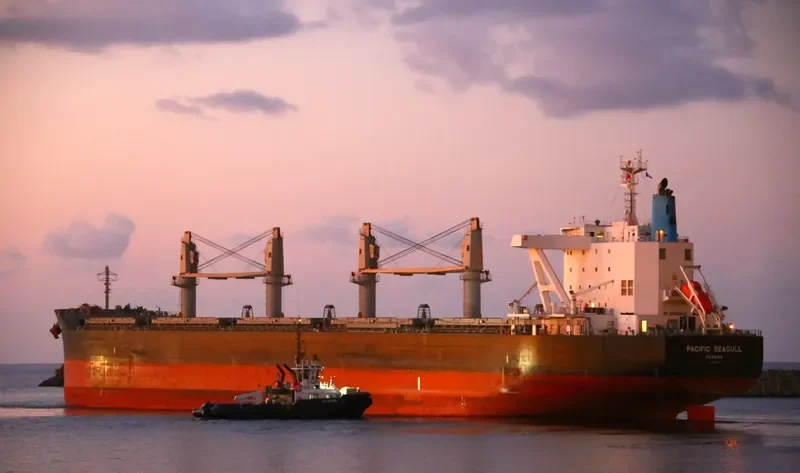 PACIFIC SEAGULL Bulk Carrier IMO 9782364 photo 5