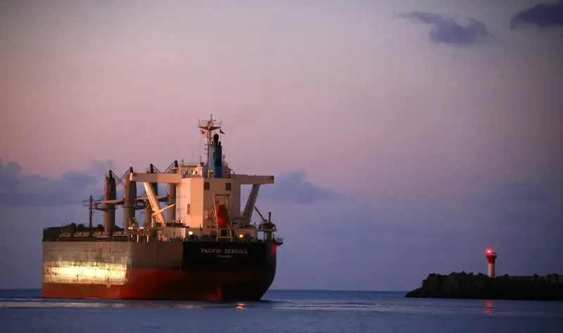 PACIFIC SEAGULL Bulk Carrier IMO 9782364 photo 6