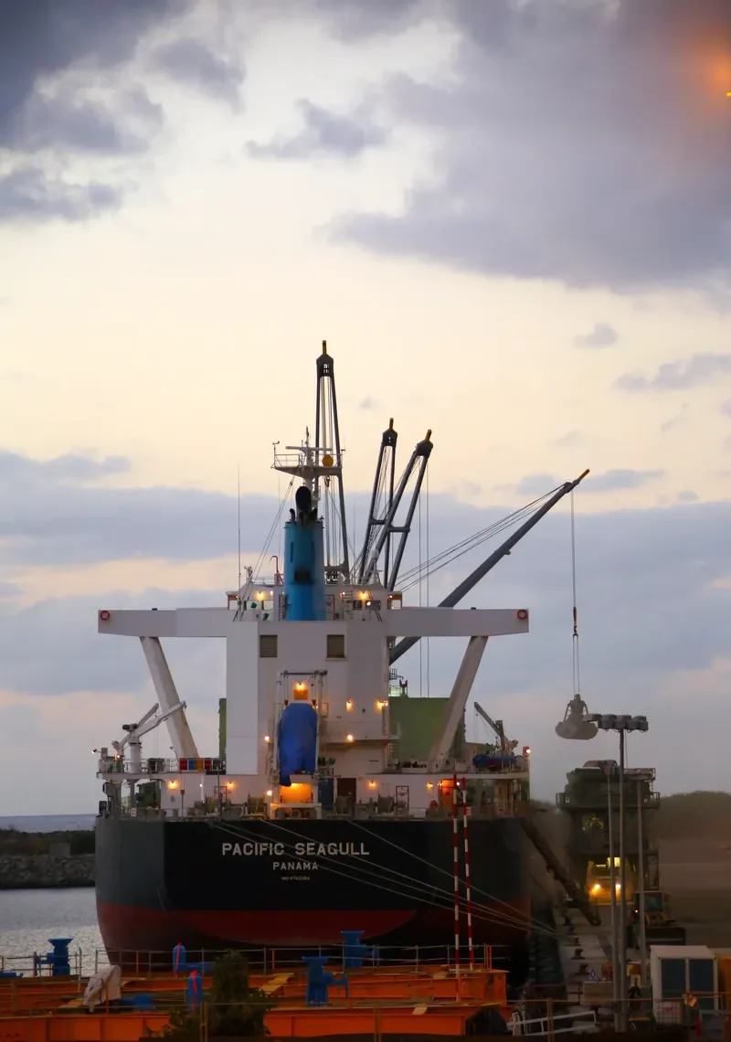 PACIFIC SEAGULL Bulk Carrier IMO 9782364 photo 7
