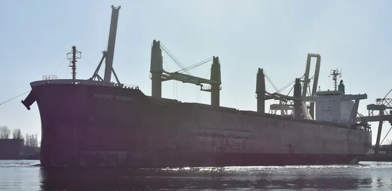 PACIFIC SEAGULL Bulk Carrier IMO 9782364 photo 9