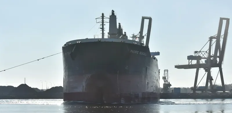 PACIFIC SEAGULL Bulk Carrier IMO 9782364 photo 10