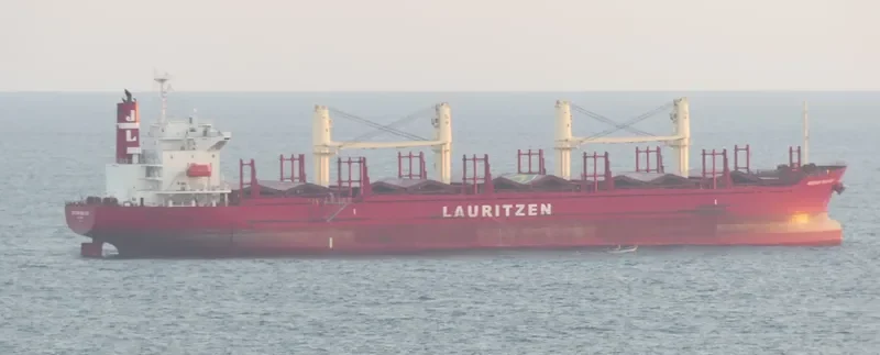 IBERIAN BULKER Bulk Carrier IMO 9782962 photo 2