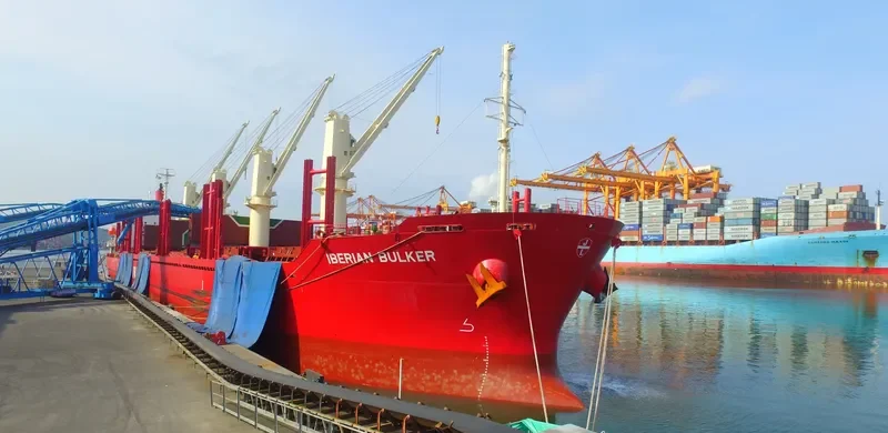 IBERIAN BULKER Bulk Carrier IMO 9782962 photo 5