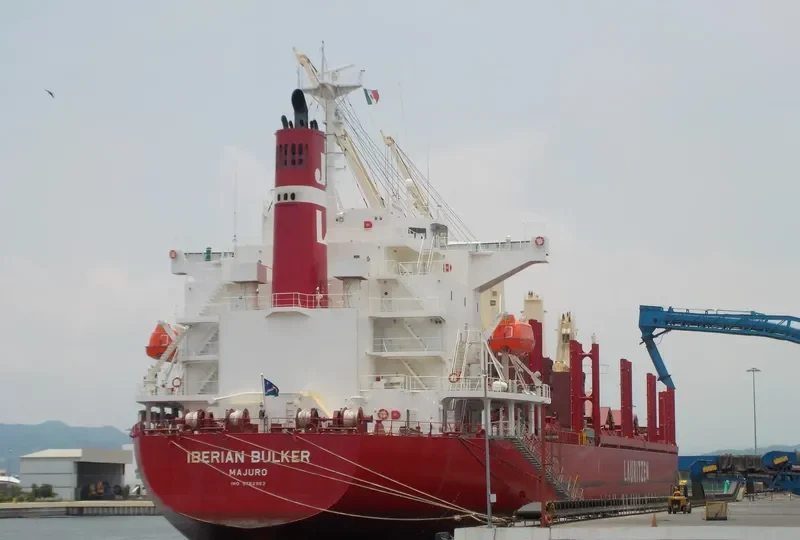 IBERIAN BULKER Bulk Carrier IMO 9782962 photo 6