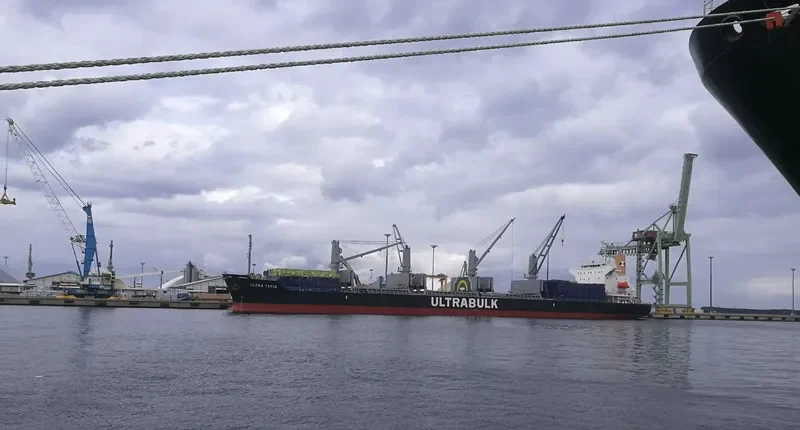 ULTRA TATIO Bulk Carrier IMO 9782986