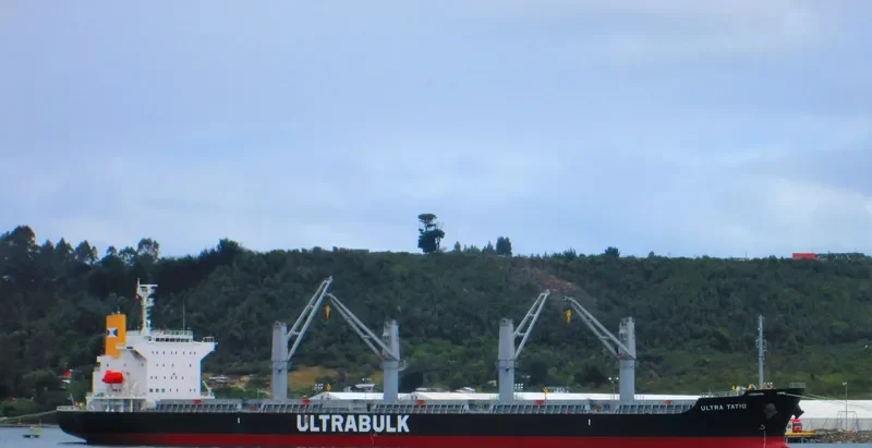 ULTRA TATIO Bulk Carrier IMO 9782986 photo 8