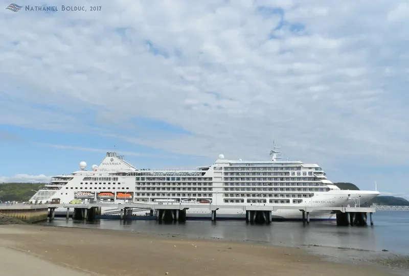 SILVER MUSE Passenger Ship IMO 9784350