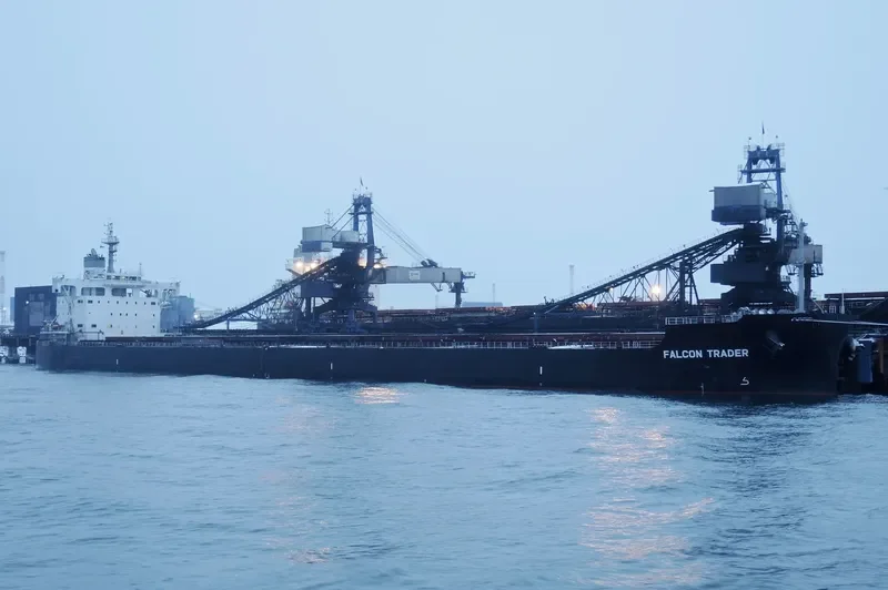 FALCON TRADER Bulk Carrier IMO 9784374